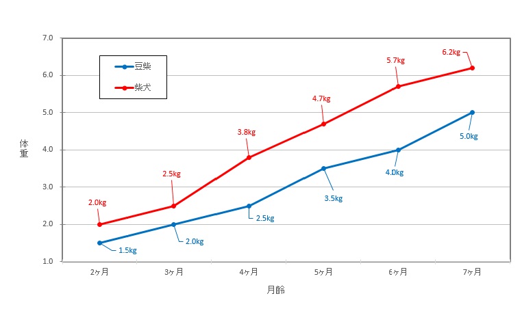 豆柴の体重推移をグラフで紹介 体重 体型チェックで健康を維持しよう Harutoの豆柴 Funブログ