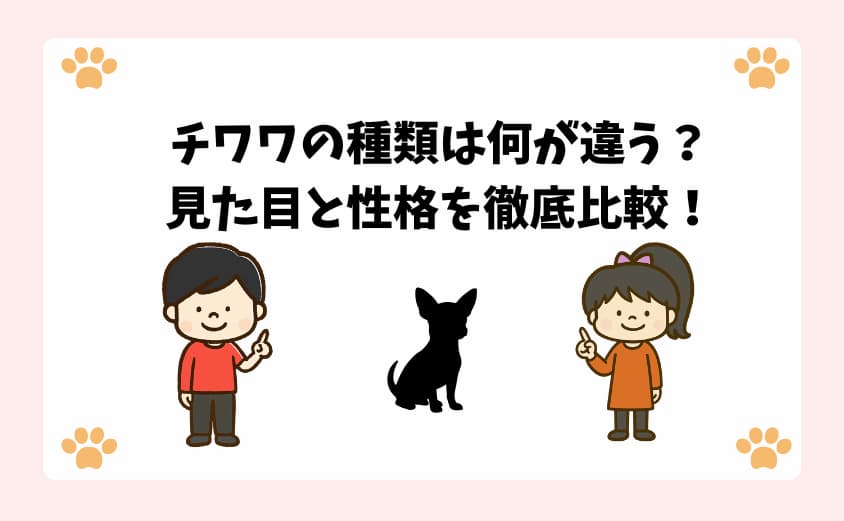 チワワの種類は何が違う？ 見た目と性格を徹底比較！