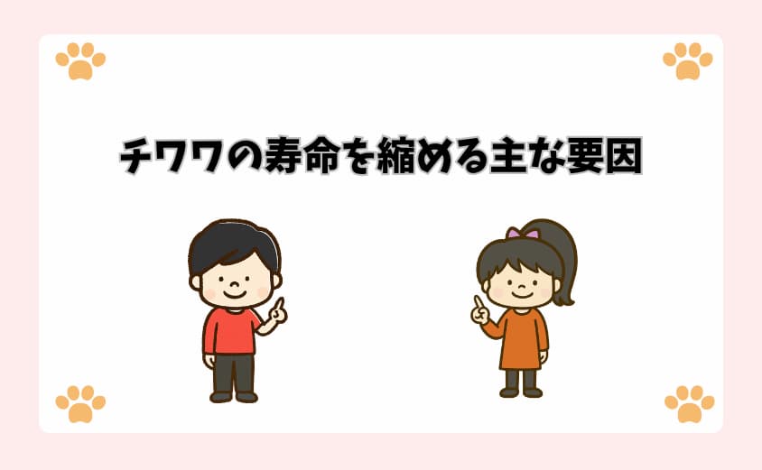 チワワの寿命を縮める主な要因