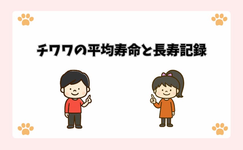 チワワの平均寿命と長寿記録