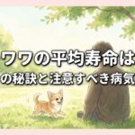 チワワの平均寿命は？長生きの秘訣と注意すべき病気を解説