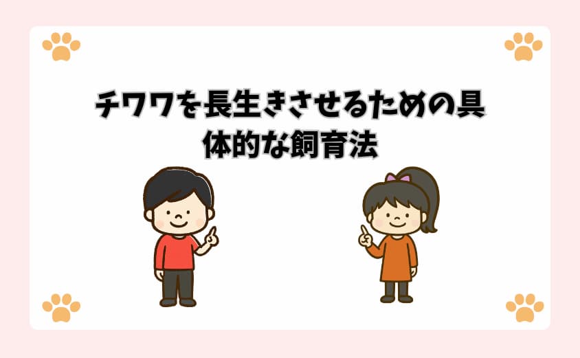 チワワを長生きさせるための具体的な飼育法