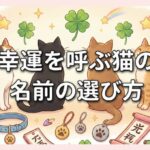 幸運を呼ぶ猫の名前の選び方