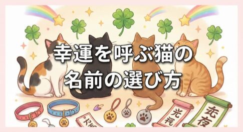 幸運を呼ぶ猫の名前の選び方