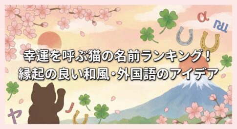幸運を呼ぶ猫の名前ランキング！縁起の良い和風・外国語のアイデア
