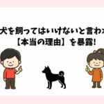 柴犬を飼ってはいけないと言われる【本当の理由】を暴露!