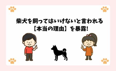 柴犬を飼ってはいけないと言われる【本当の理由】を暴露!