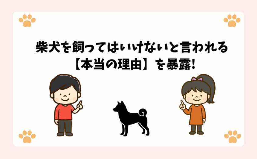 柴犬を飼ってはいけないと言われる【本当の理由】を暴露!