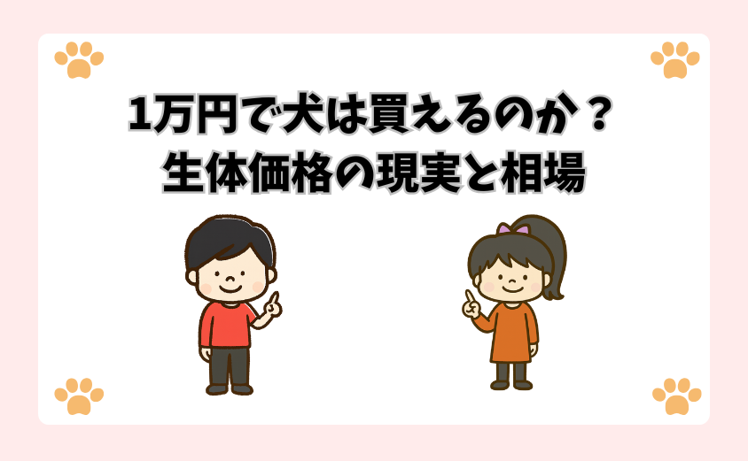 「安すぎる犬」には裏がある？知っておくべきリスクと背景