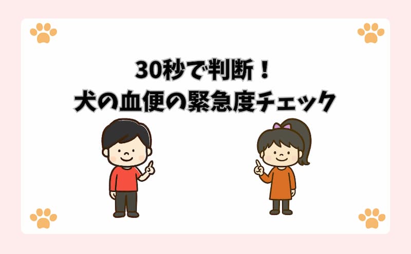 30秒で判断！犬の血便の緊急度チェック
