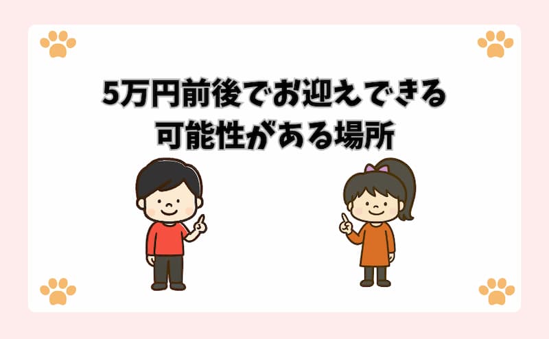 5万円前後でお迎えできる可能性がある場所