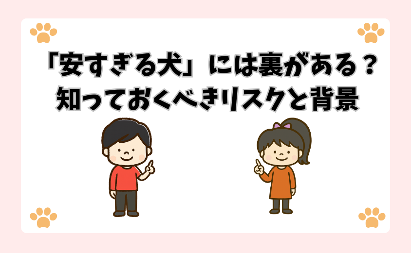 「安すぎる犬」には裏がある？知っておくべきリスクと背景