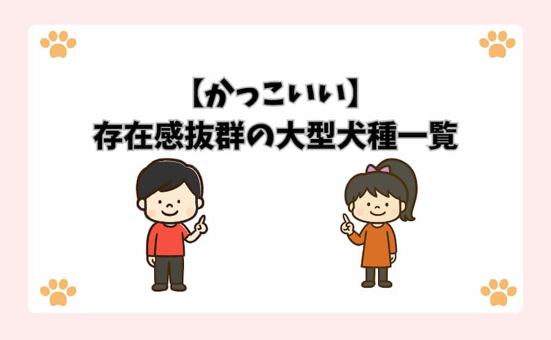 【かっこいい】存在感抜群の大型犬種一覧