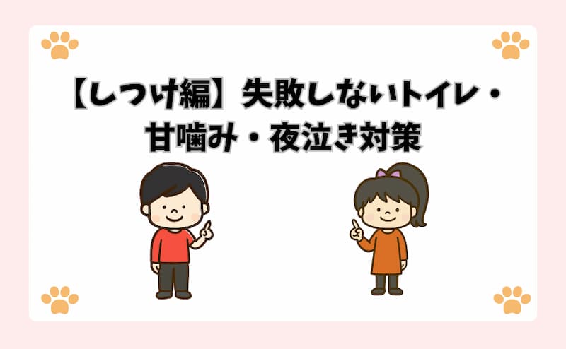 【しつけ編】失敗しないトイレ・甘噛み・夜泣き対策