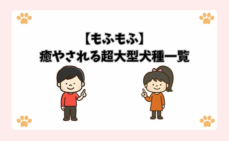 【もふもふ】癒やされる超大型犬種一覧