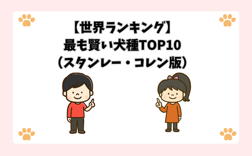 【世界ランキング】最も賢い犬種TOP10（スタンレー・コレン版）