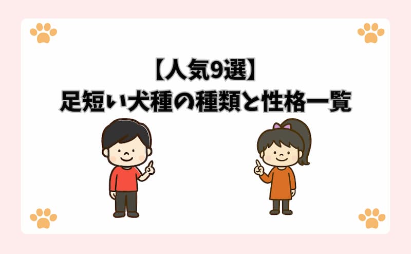 【人気9選】足が短い犬種の種類と性格一覧