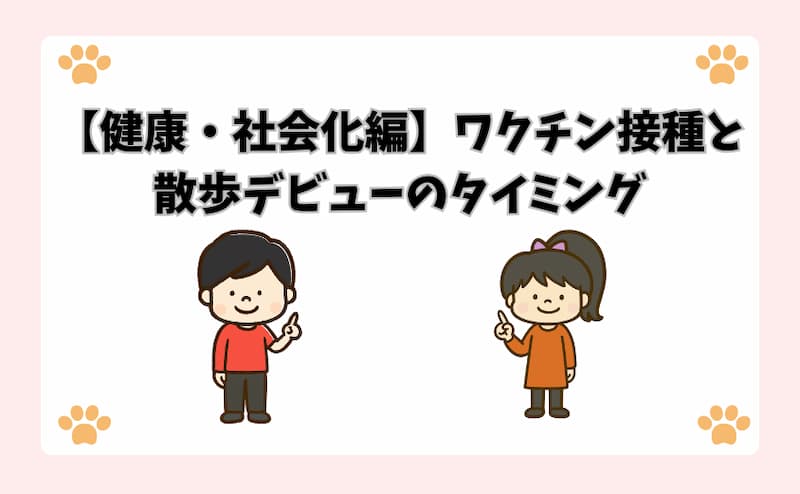 【健康・社会化編】ワクチン接種と散歩デビューのタイミング