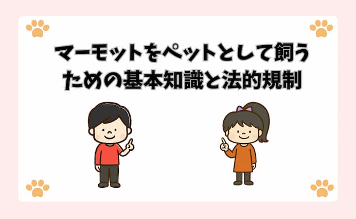 マーモットをペットとして飼うための基本知識と法的規制