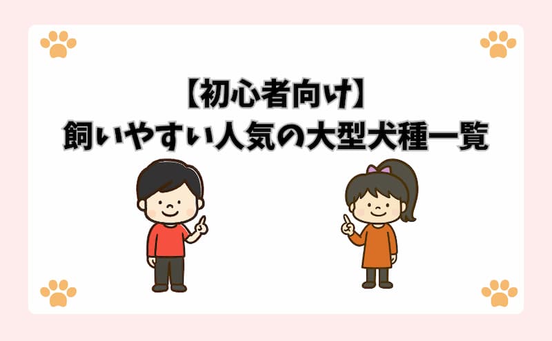 【初心者向け】飼いやすい人気の大型犬種一覧