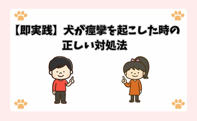 【即実践】犬が痙攣を起こした時の正しい対処法