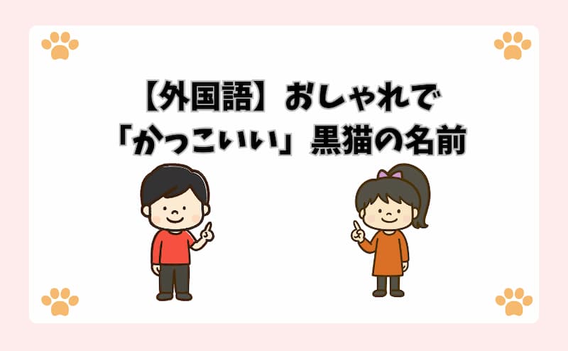 【外国語】おしゃれで「かっこいい」黒猫の名前