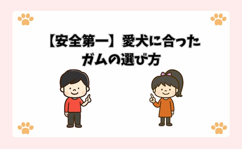 【安全第一】愛犬に合ったガムの選び方