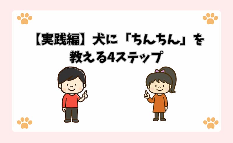 【実践編】犬に「ちんちん」を教える4ステップ