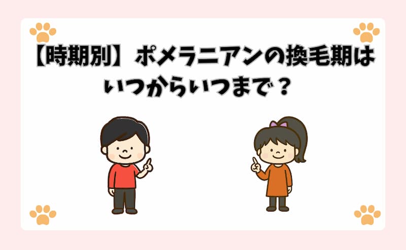 【時期別】ポメラニアンの換毛期はいつからいつまで？