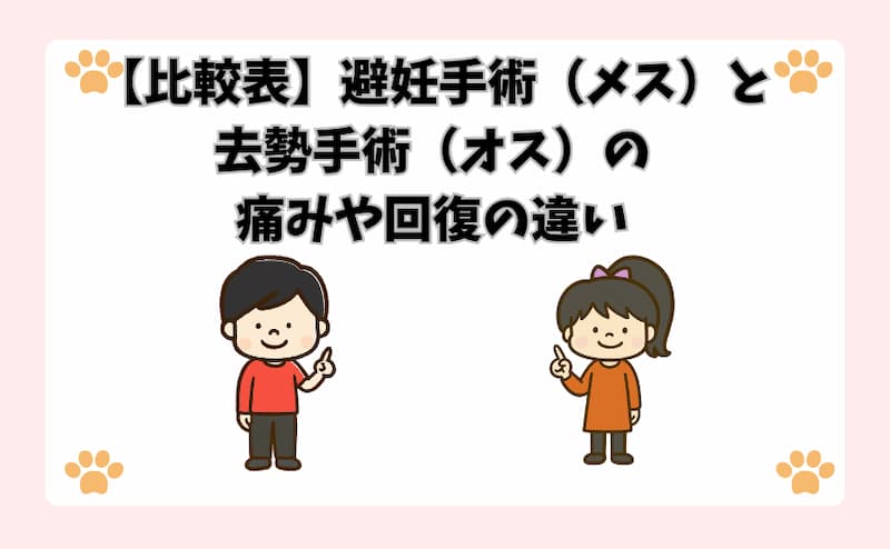 【比較表】避妊手術（メス）と去勢手術（オス）の痛みや回復の違い