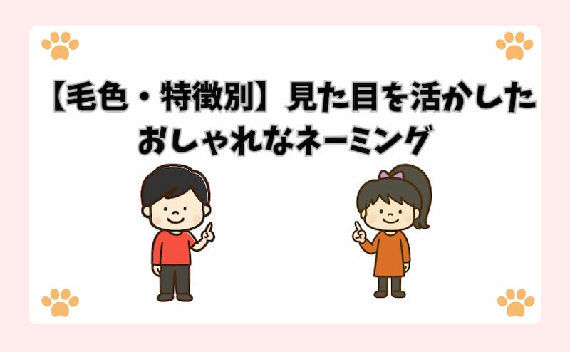 【毛色・特徴別】見た目を活かしたおしゃれなネーミング