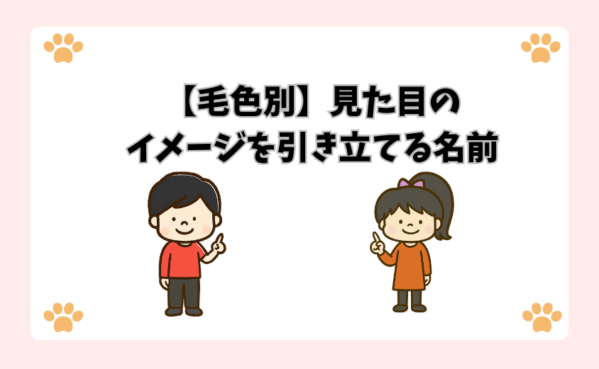 【毛色別】見た目のイメージを引き立てる名前