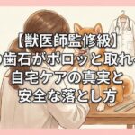 【獣医師監修級】犬の歯石がポロッと取れる？自宅ケアの真実と安全な落とし方