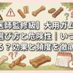 【獣医師監修級】犬用ガムの安全な選び方と危険性｜いつから与える？効果と頻度を徹底解説