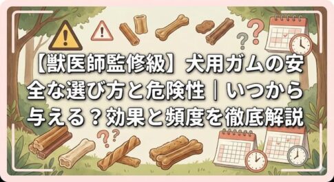 【獣医師監修級】犬用ガムの安全な選び方と危険性｜いつから与える？効果と頻度を徹底解説