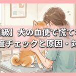 【獣医級】犬の血便で慌てない！緊急度チェックと原因・対処法
