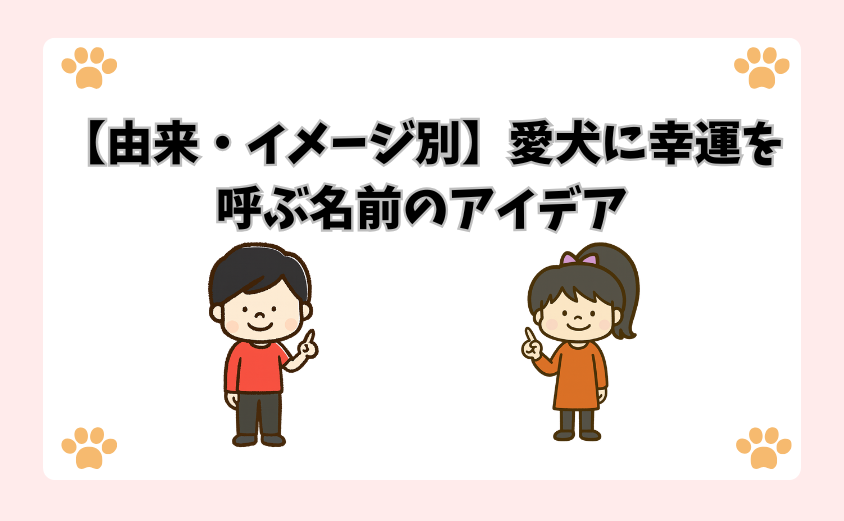 【由来・イメージ別】愛犬に幸運を呼ぶ名前のアイデア