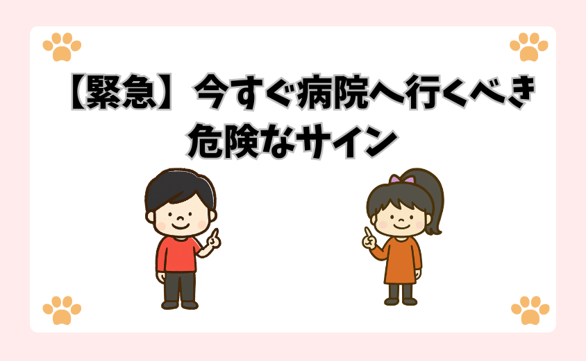 【緊急】今すぐ病院へ行くべき危険なサイン