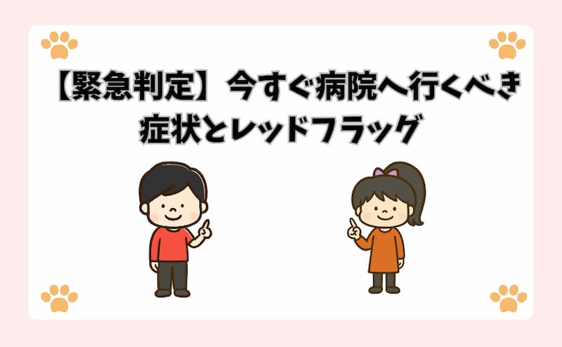 【緊急判定】今すぐ病院へ行くべき症状とレッドフラッグ