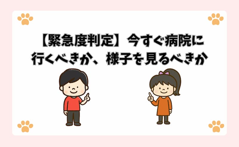 【緊急度判定】今すぐ病院に行くべきか、様子を見るべきか