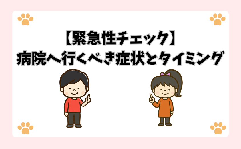 【緊急性チェック】病院へ行くべき症状とタイミング