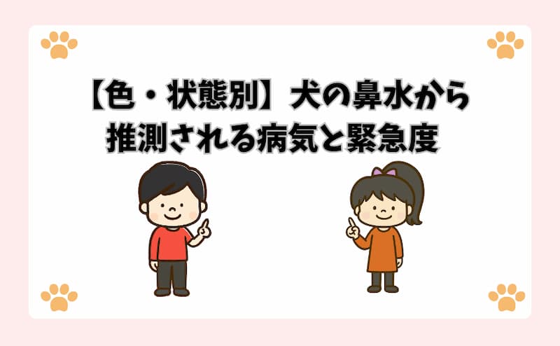 【色・状態別】犬の鼻水から推測される病気と緊急度