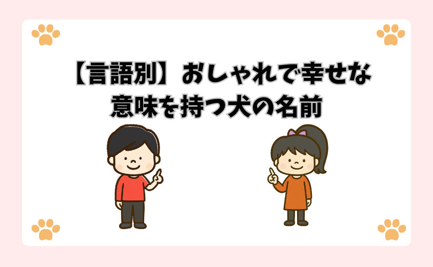 【言語別】おしゃれで幸せな意味を持つ犬の名前