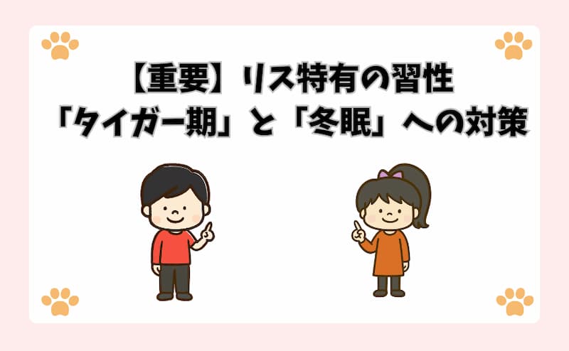 【重要】リス特有の習性「タイガー期」と「冬眠」への対策