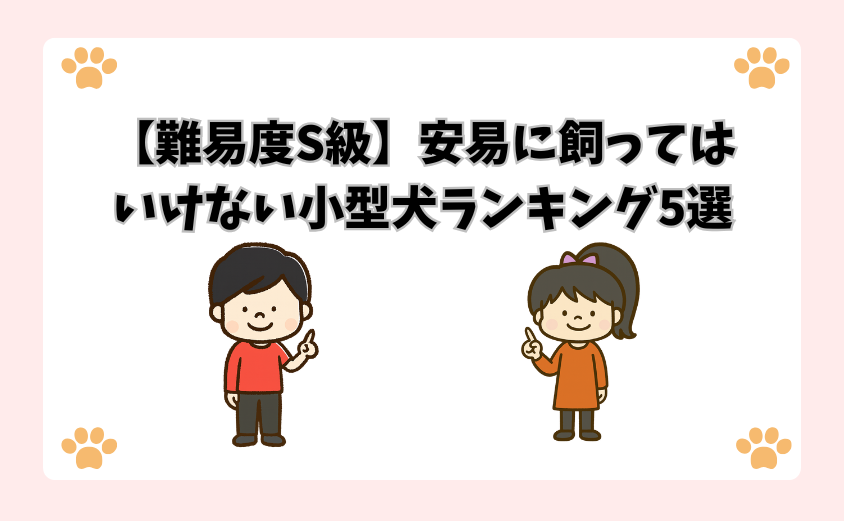 【難易度S級】安易に飼ってはいけない小型犬ランキング5選