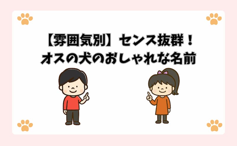 【雰囲気別】センス抜群！オスの犬のおしゃれな名前