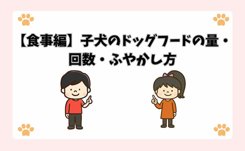 【食事編】子犬のドッグフードの量・回数・ふやかし方