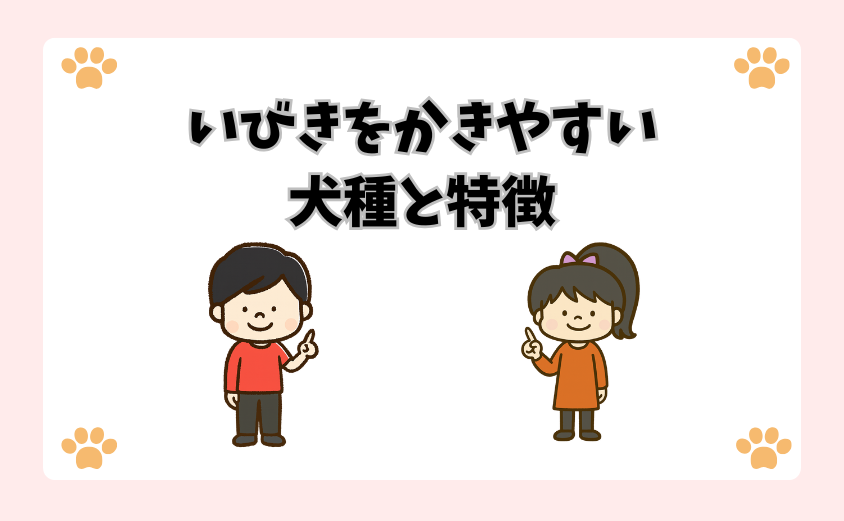 いびきをかきやすい犬種と特徴