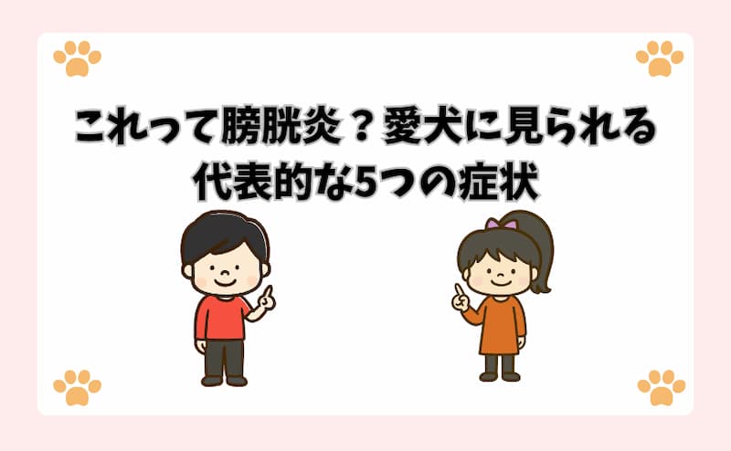 これって膀胱炎？愛犬に見られる代表的な5つの症状
