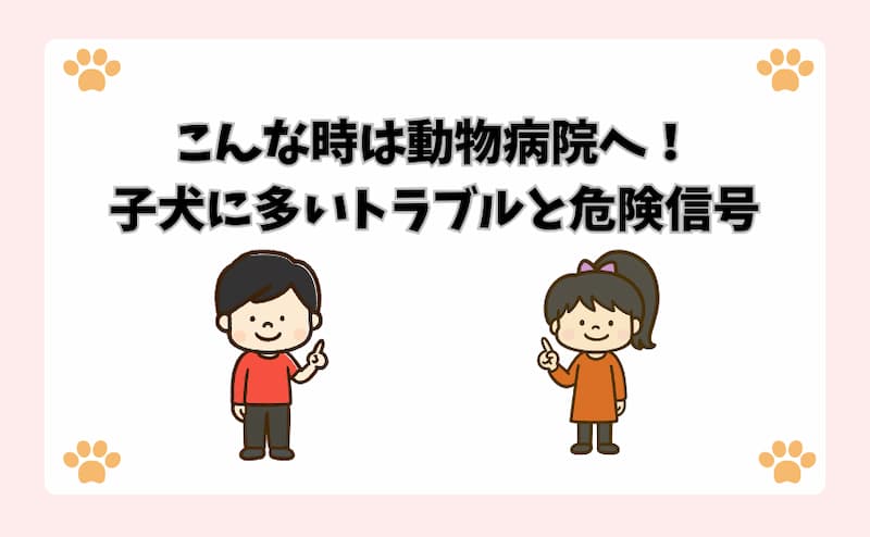 こんな時は動物病院へ！子犬に多いトラブルと危険信号